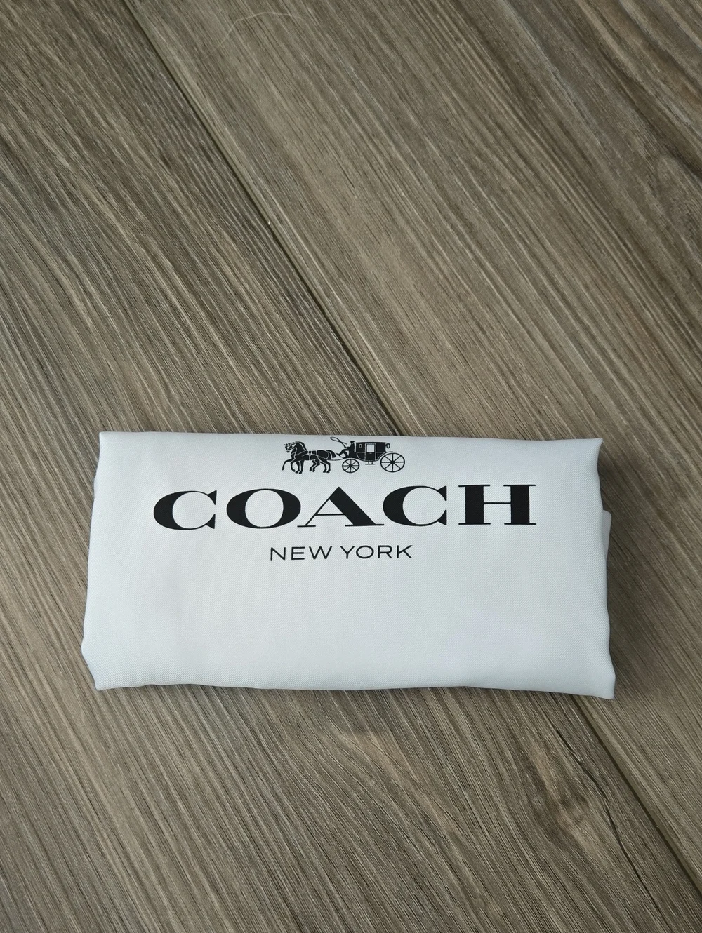 Coach Light Blue Curve Zip Shoulder Bag